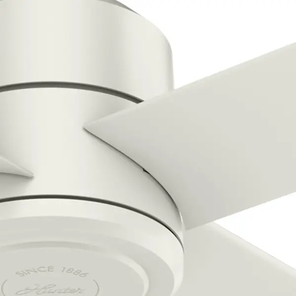 The Ceiling Fans by Hunter - Image 26