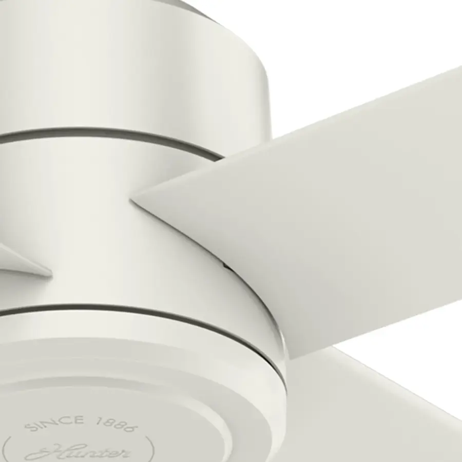 The Ceiling Fans by Hunter - Image 26