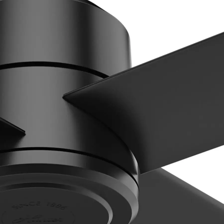 The Ceiling Fans by Hunter - Image 27