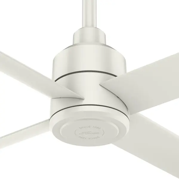 The Ceiling Fans by Hunter - Image 29