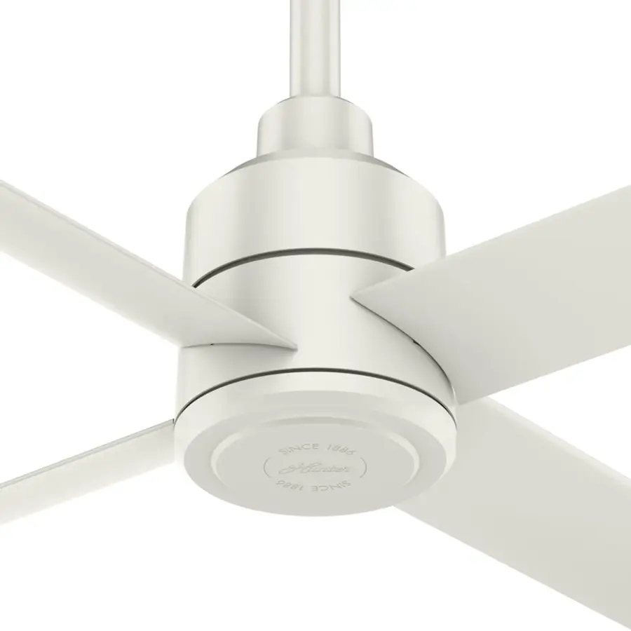 The Ceiling Fans by Hunter - Image 29