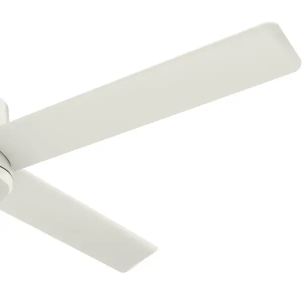 The Ceiling Fans by Hunter - Image 32