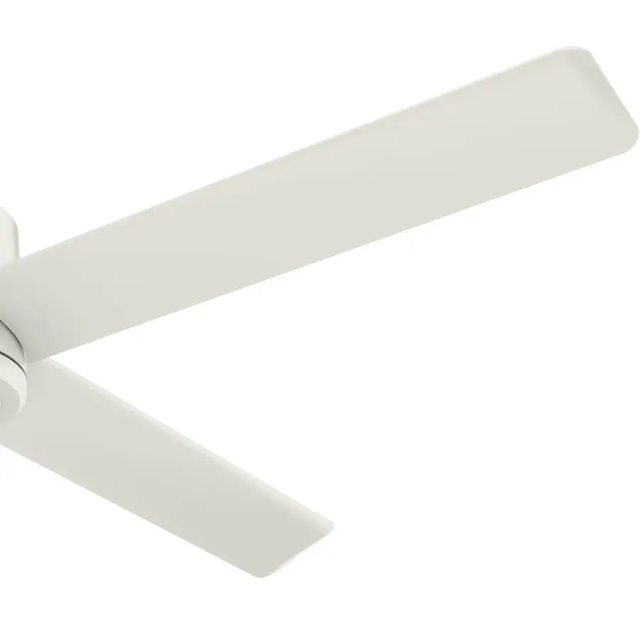 The Ceiling Fans by Hunter - Image 32
