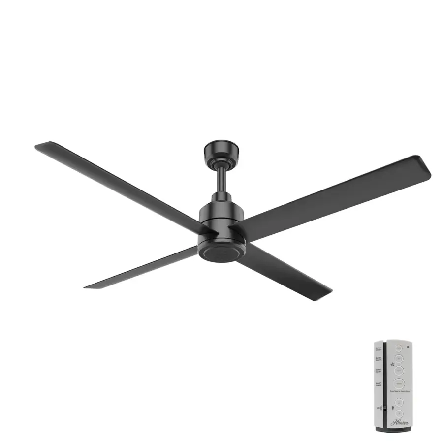 The Ceiling Fans by Hunter - Image 3