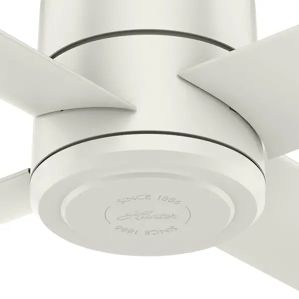 The Ceiling Fans by Hunter - Image 23