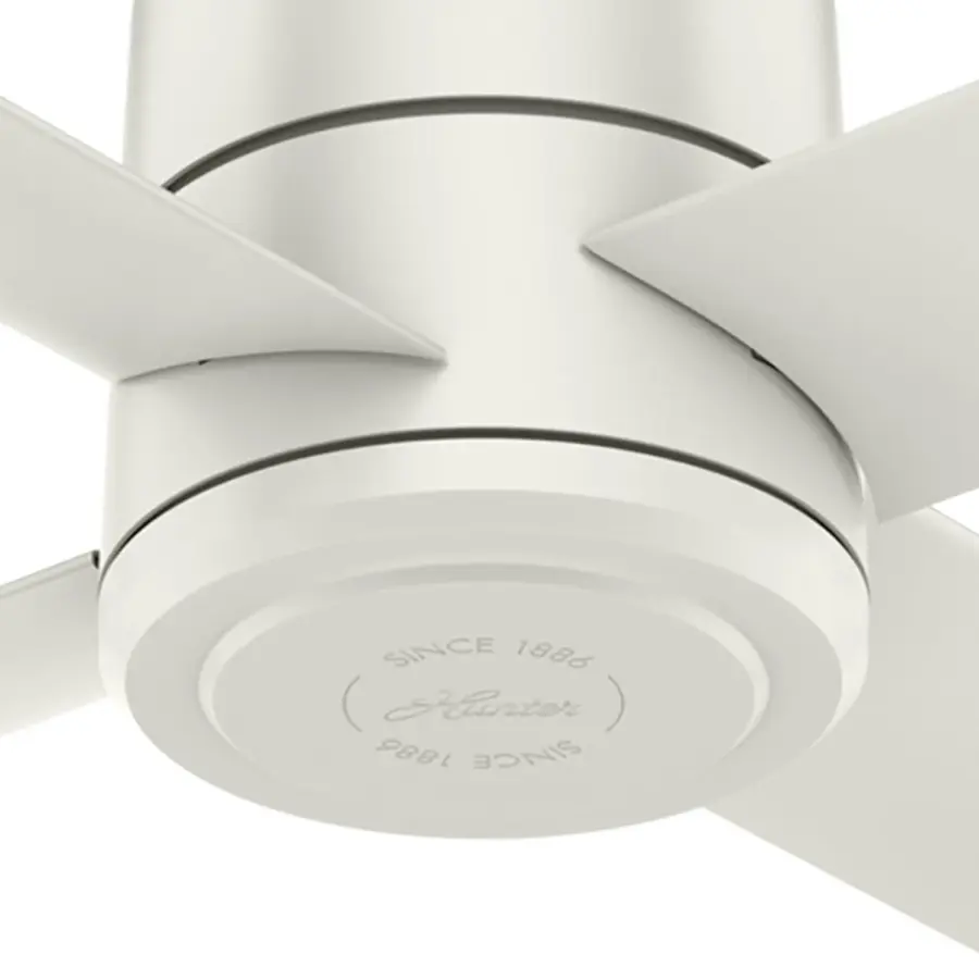 The Ceiling Fans by Hunter - Image 23