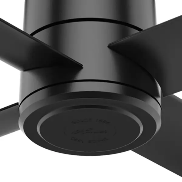 The Ceiling Fans by Hunter - Image 25