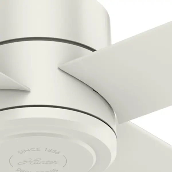 The Ceiling Fans by Hunter - Image 26