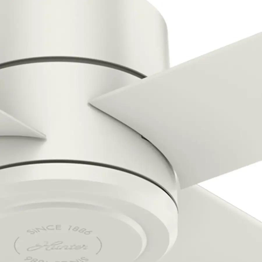 The Ceiling Fans by Hunter - Image 26
