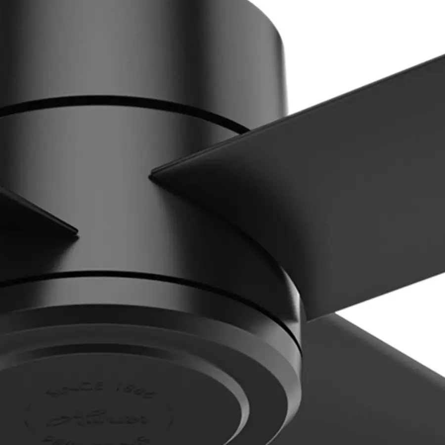 The Ceiling Fans by Hunter - Image 28