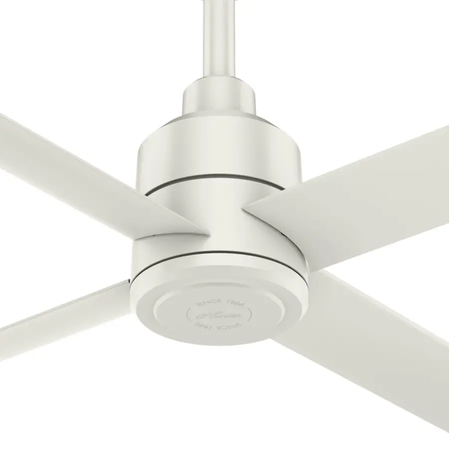 The Ceiling Fans by Hunter - Image 29