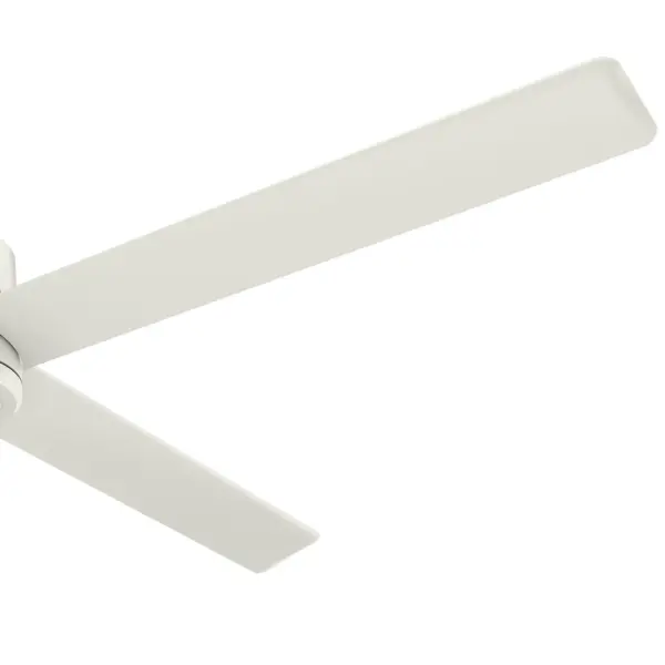 The Ceiling Fans by Hunter - Image 32