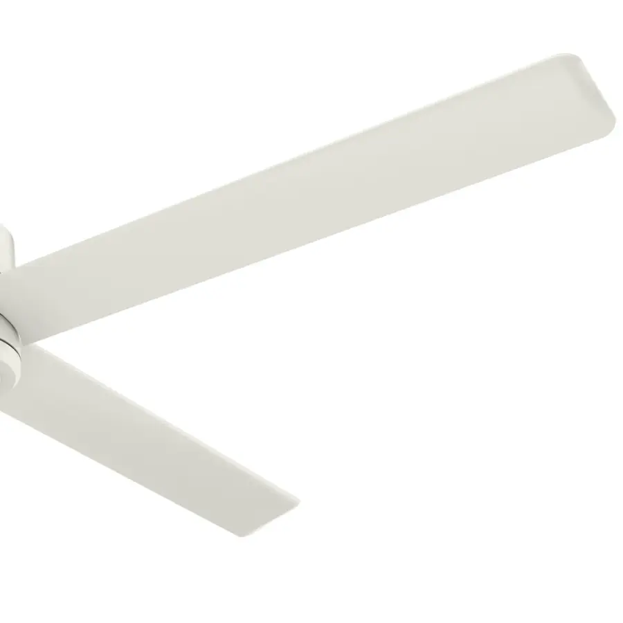 The Ceiling Fans by Hunter - Image 32