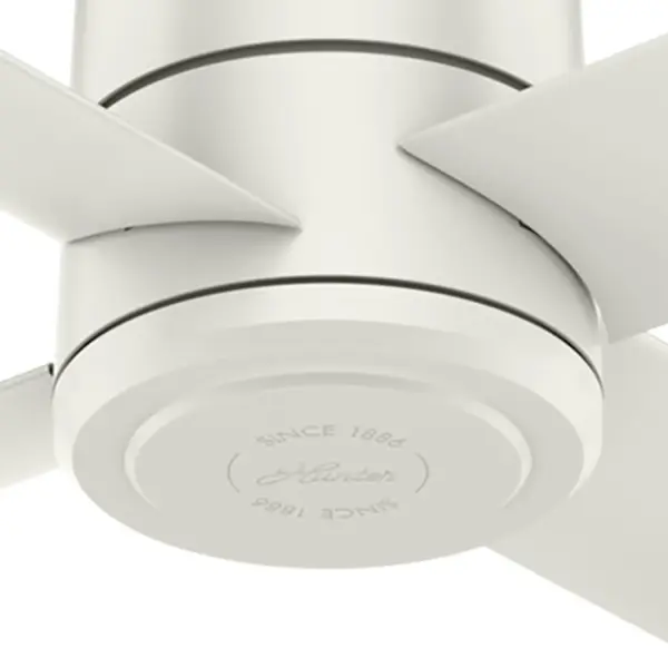 The Ceiling Fans by Hunter - Image 24