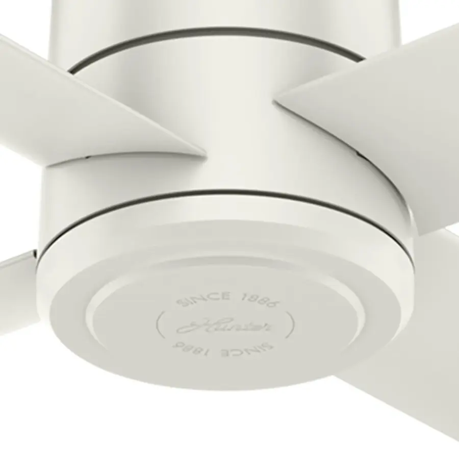 The Ceiling Fans by Hunter - Image 24