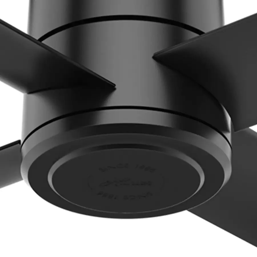 The Ceiling Fans by Hunter - Image 25
