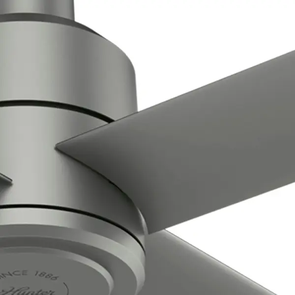 The Ceiling Fans by Hunter - Image 26