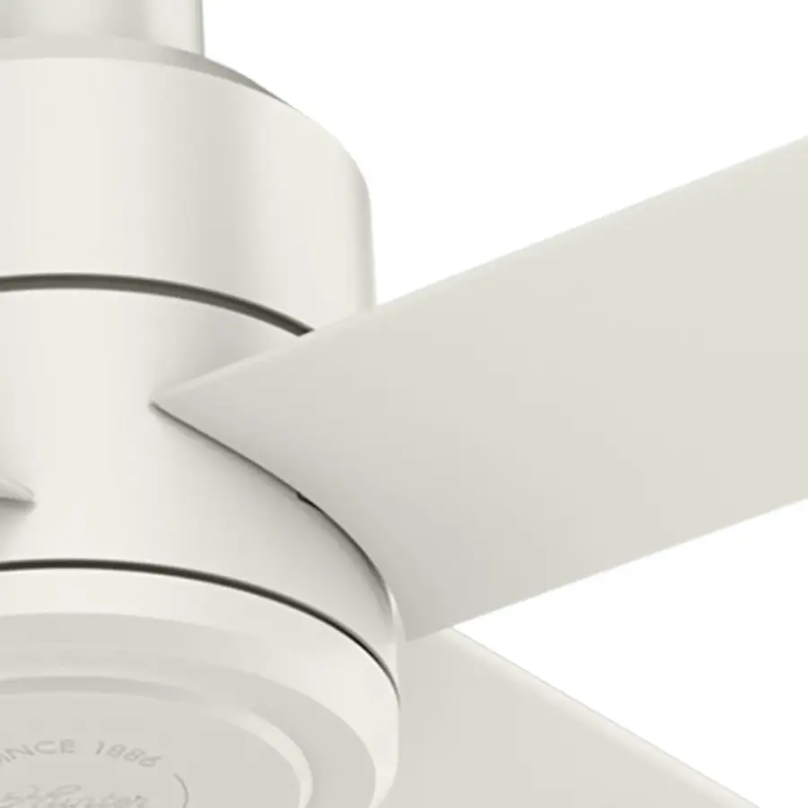 The Ceiling Fans by Hunter - Image 27