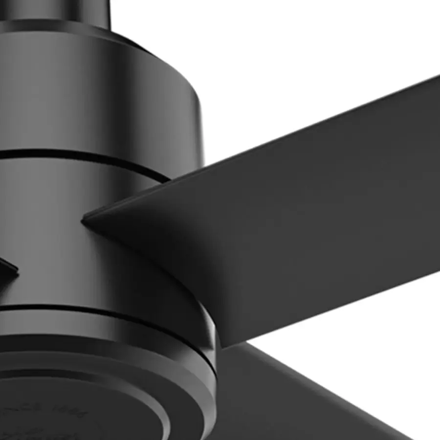 The Ceiling Fans by Hunter - Image 28