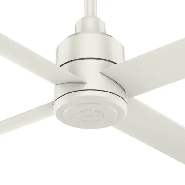 The Ceiling Fans by Hunter - Image 30