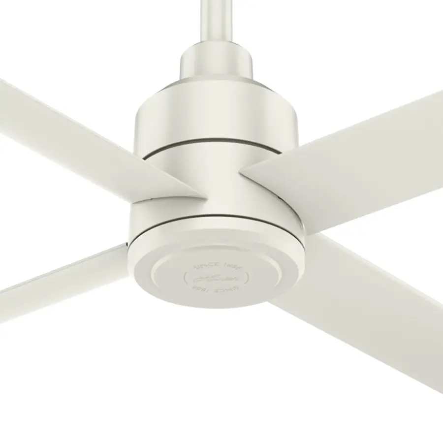 The Ceiling Fans by Hunter - Image 30