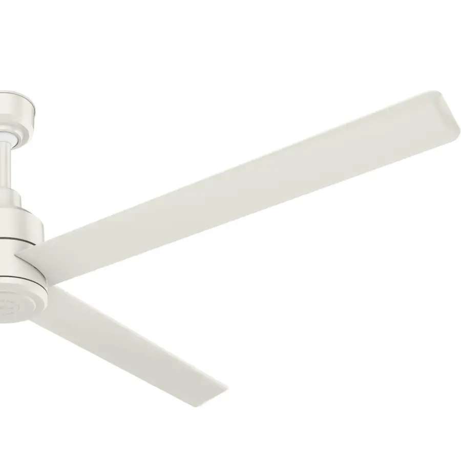 The Ceiling Fans by Hunter - Image 33