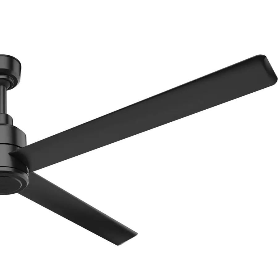 The Ceiling Fans by Hunter - Image 34
