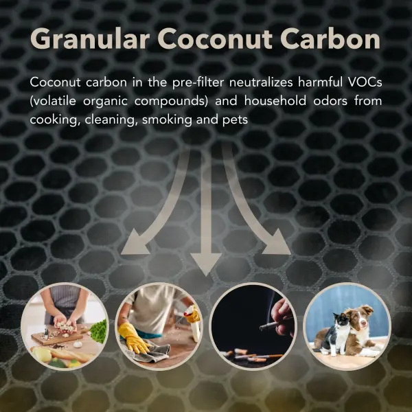 The Collective by Hunter - Image 6