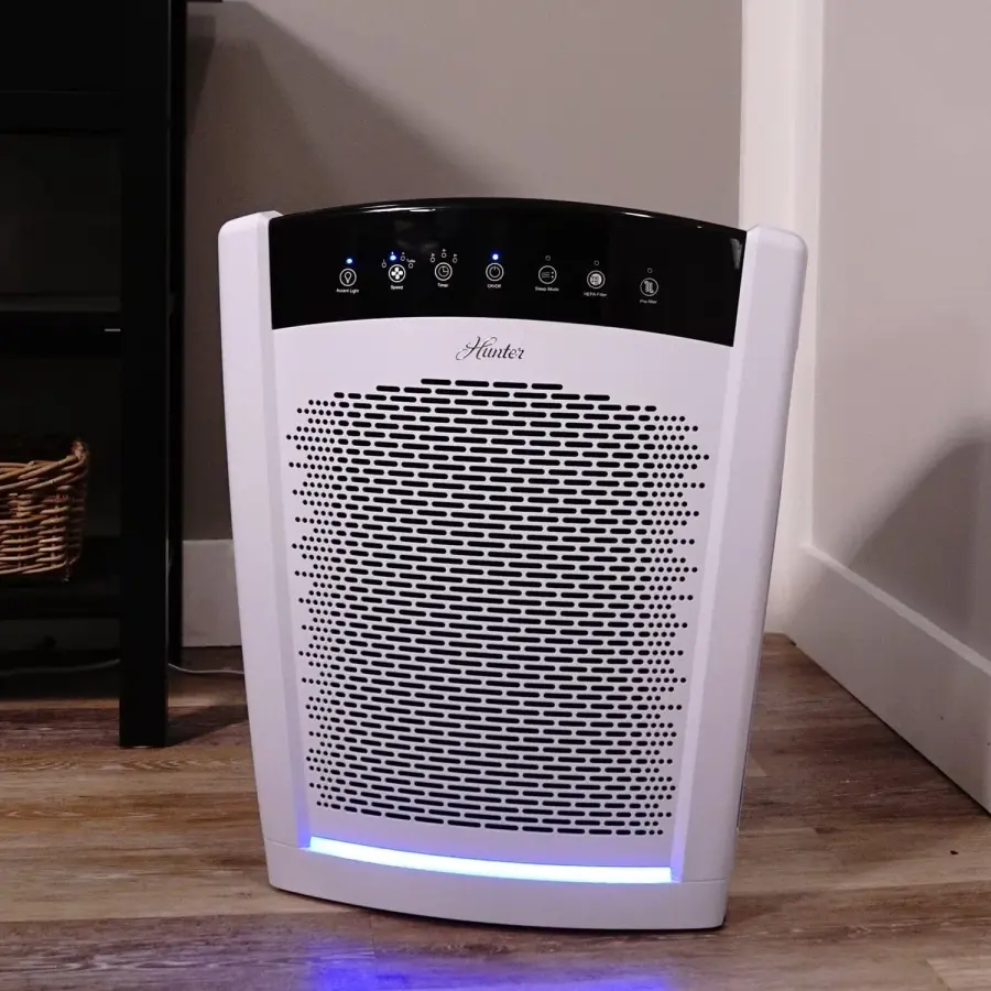 The Collective by Hunter - Image 11