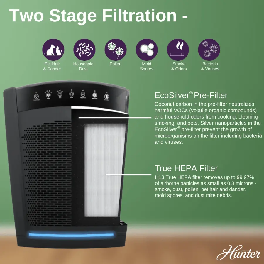 The Collective by Hunter - Image 17