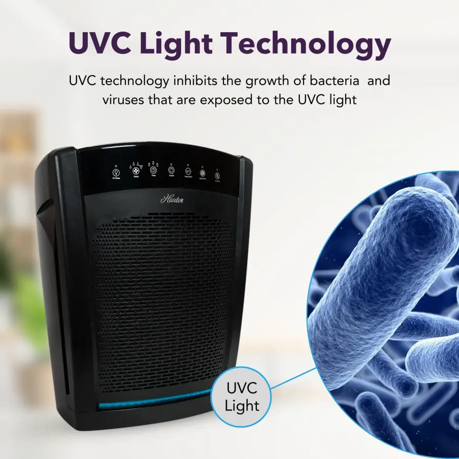 The Collective by Hunter - Image 13