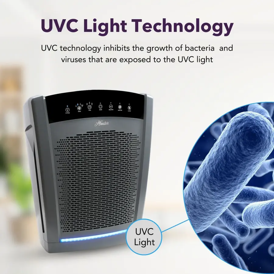 The Collective by Hunter - Image 14