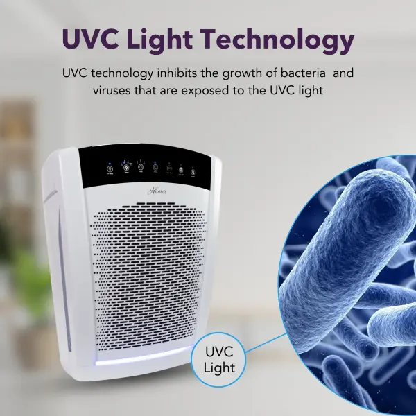 The Collective by Hunter - Image 15