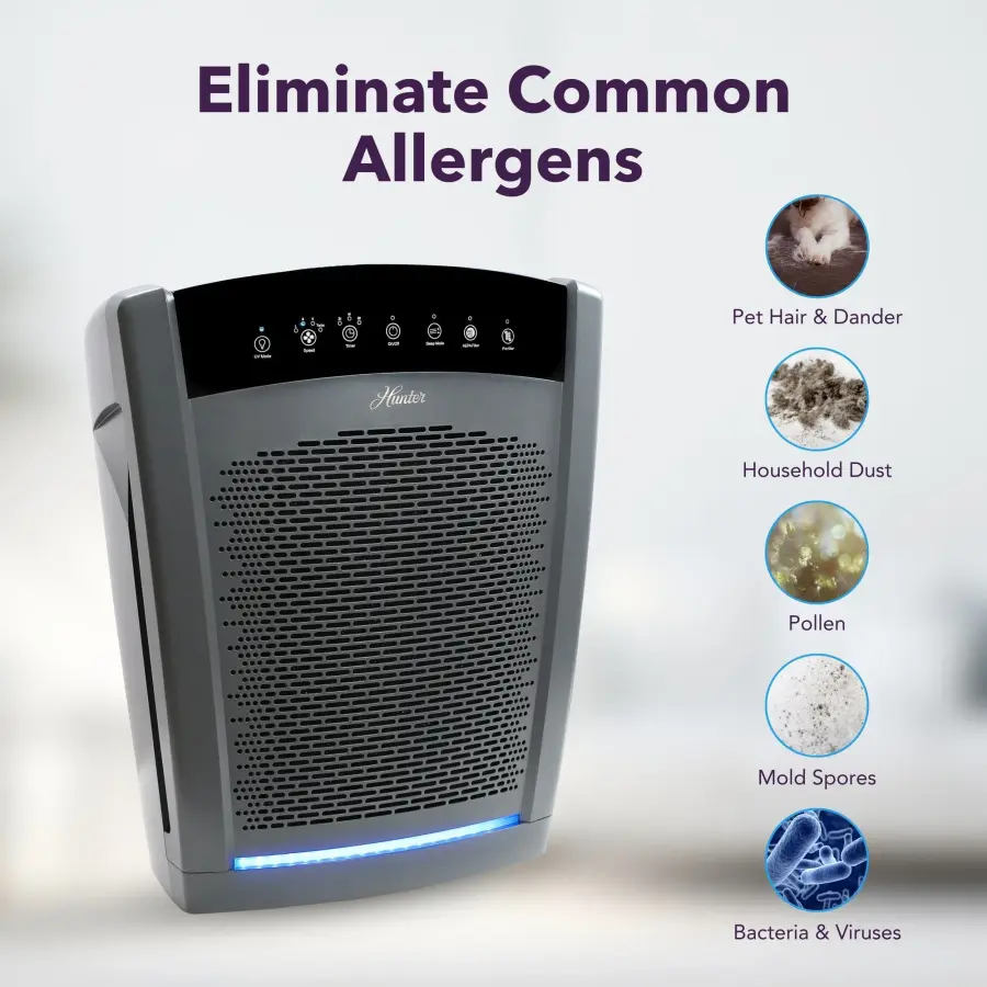 The Collective by Hunter - Image 16