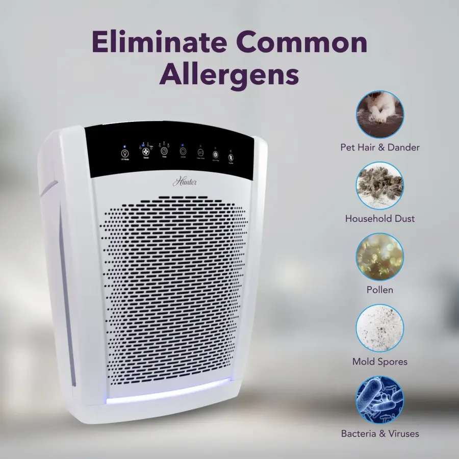 The Collective by Hunter - Image 17