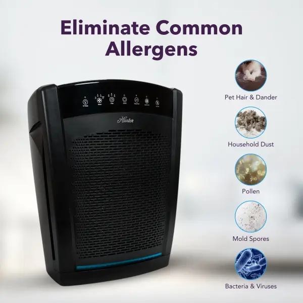 The Collective by Hunter - Image 3