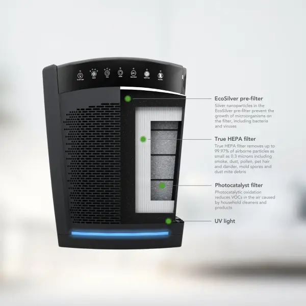 The Collective by Hunter - Image 5