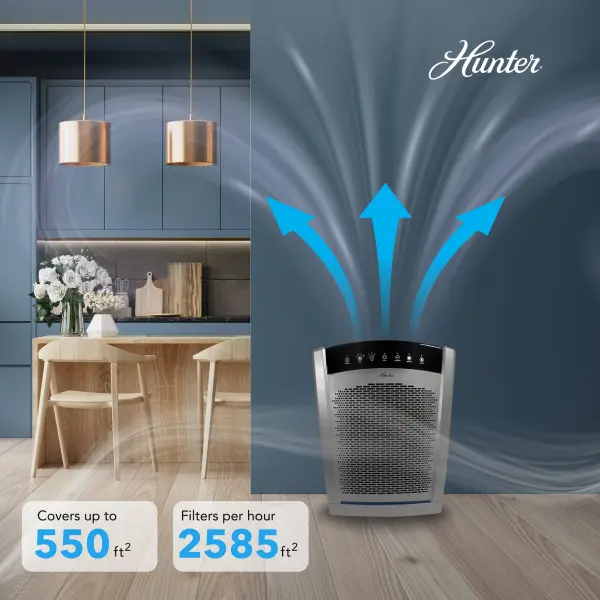 The Collective by Hunter - Image 7