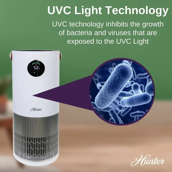 The Collective by Hunter - Image 11