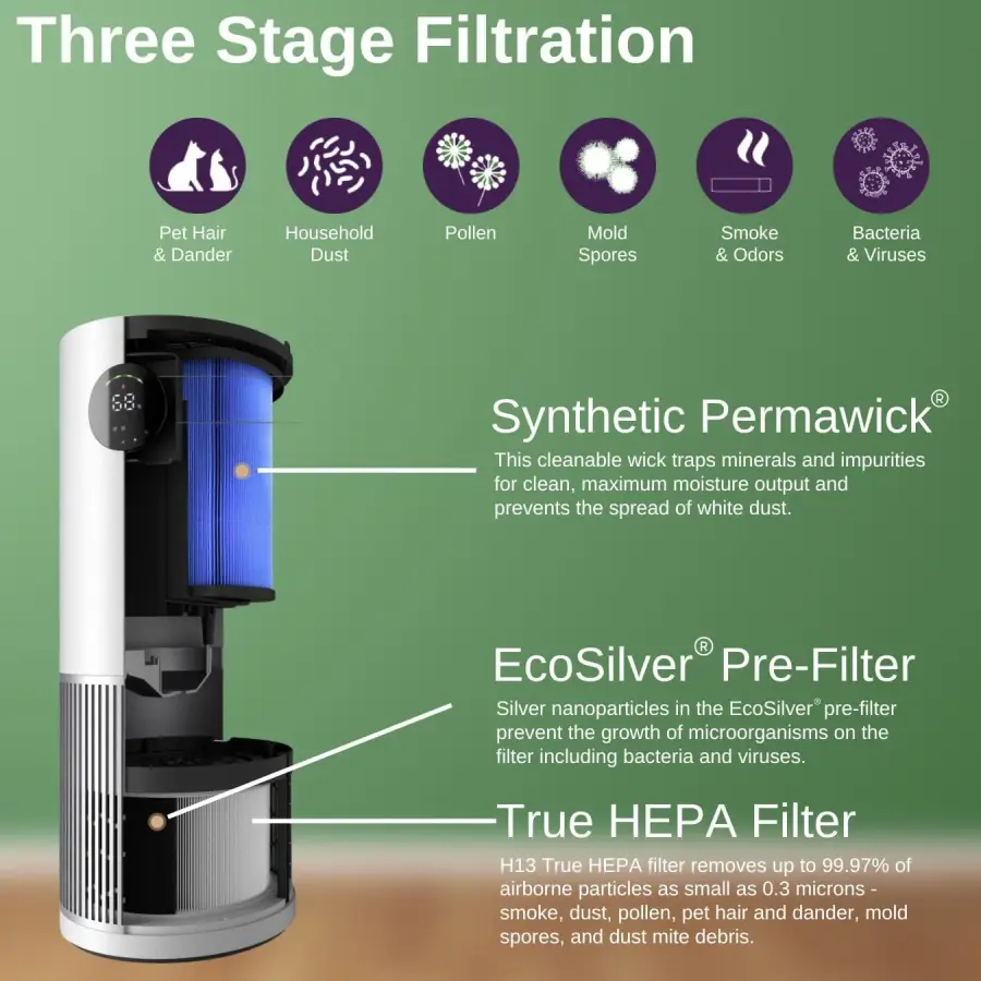 The Collective by Hunter - Image 3