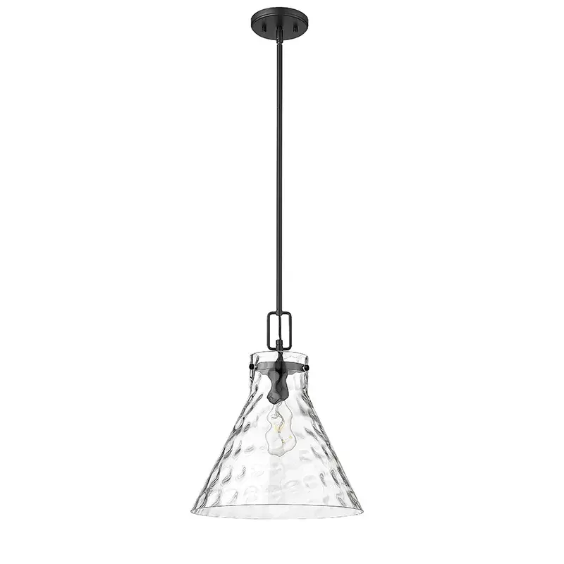 20201 Matte Black Pendant