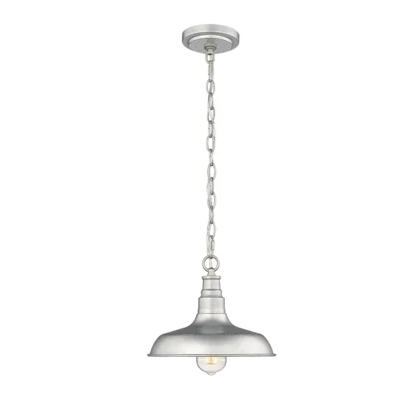 2952 Outdoor Light in Galvanized Finish