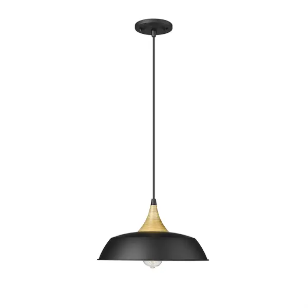 4511 Matte Black Pendant