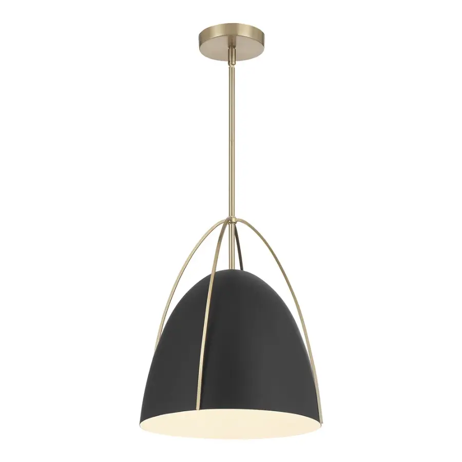 Pomelle 1-Light Pendant in Matte Black with Modern Gold