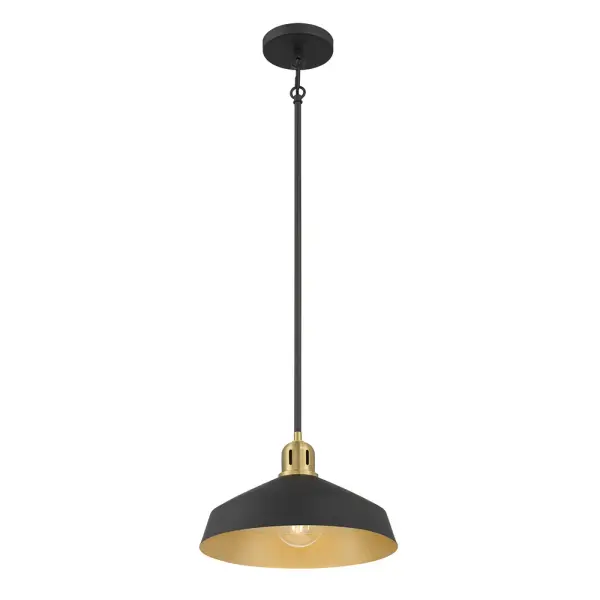 The Axlen pendant combines matte black with vintage brass accents and a metallic gold interior for stunning ambient lighting. Its geometric form and clean lines make it a versatile choice for kitchen islands and dining spaces.