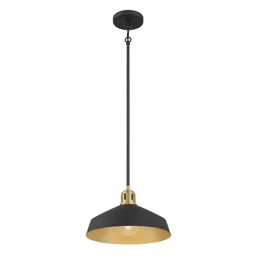 Axlen Matte Black and Vintage Brass Pendant