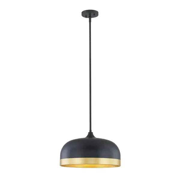Matte Black Pendant Light