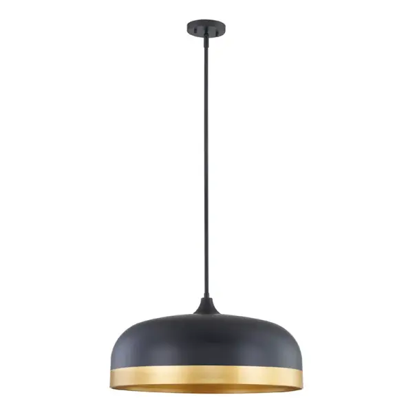 Matte Black Pendant Light