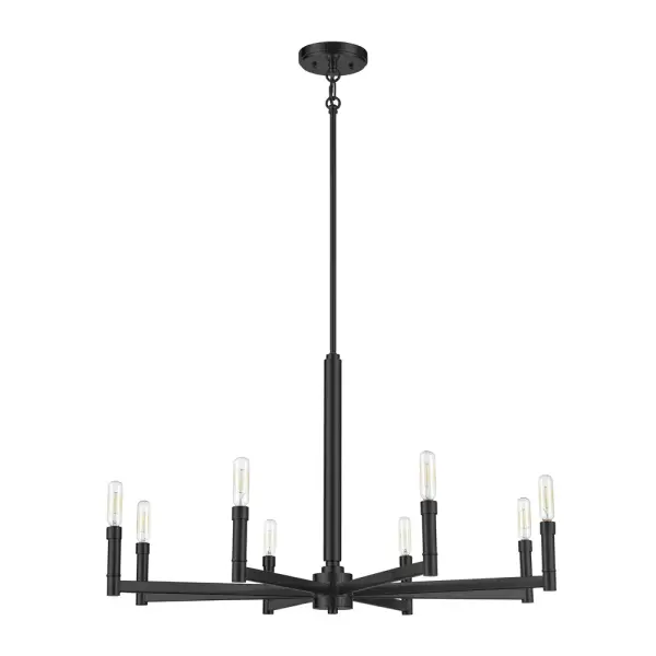 Matte Black Chandelier