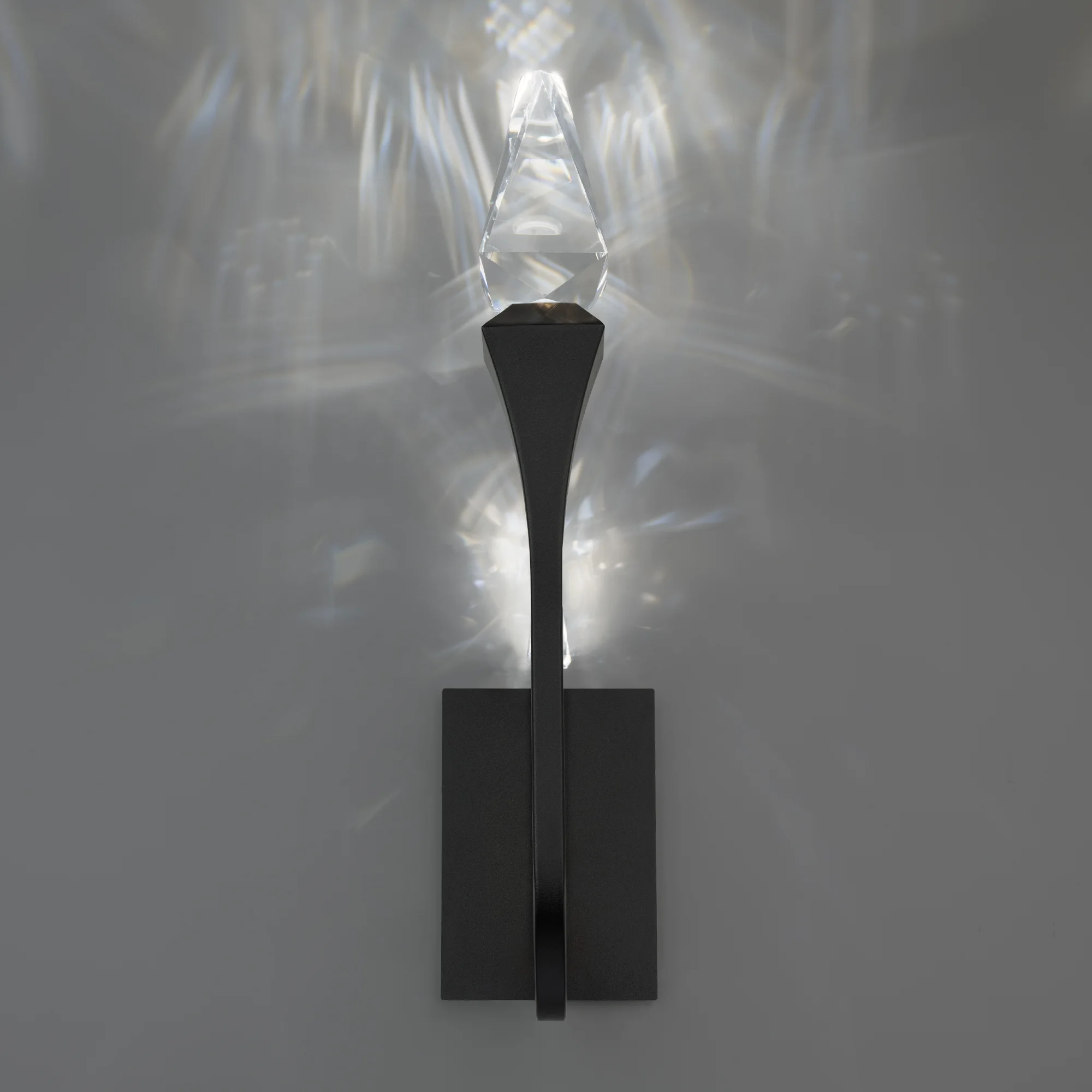Plumeria 23" LED Outdoor Wall Light in Black with Optic Crystal